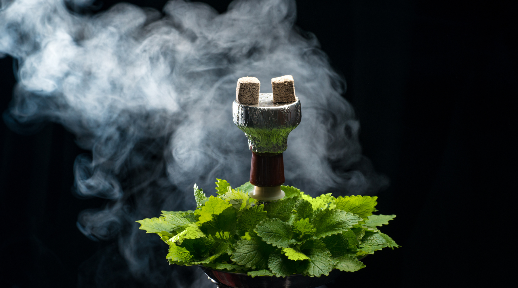 Summer - Dive into Cool Mint and Icy Fruit Flavors